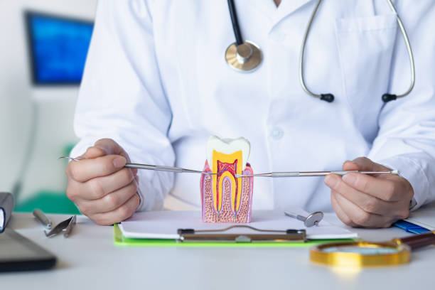 Best Emergency Root Canal Treatment in Bartlett, IL